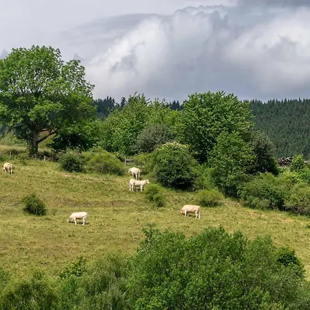 The Conscious Farmer Sauerland 3* Willingen (Upland)