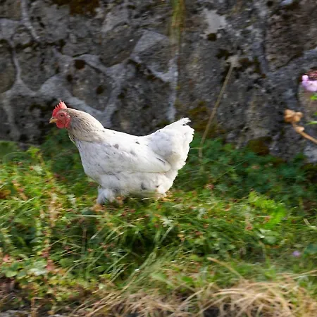 The Conscious Farmer Sauerland 3* Willingen (Upland)