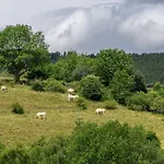The Conscious Farmer Sauerland 3* Willingen (Upland)