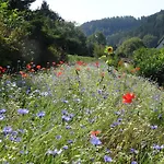 Πανσιόν The Conscious Farmer Sauerland Willingen (Upland)
