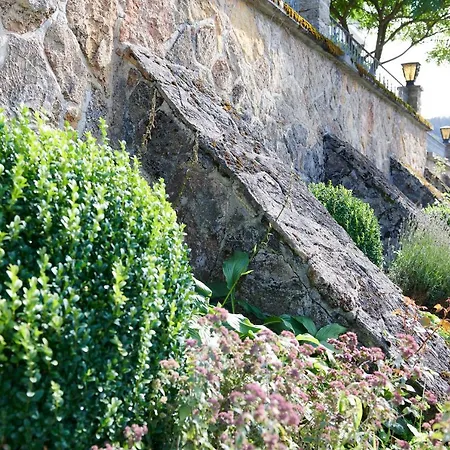 The Conscious Farmer Sauerland بيت ضيافة فيلنغن