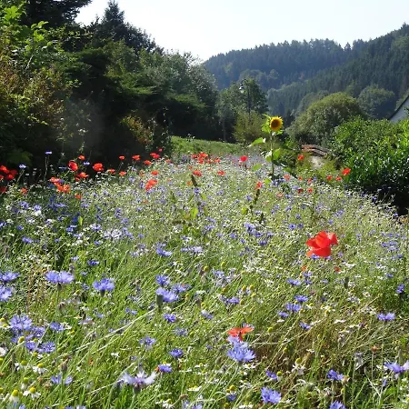 招待所 The Conscious Farmer Sauerland 维林根
