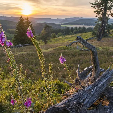 The Conscious Farmer Sauerland Willingen (Upland)