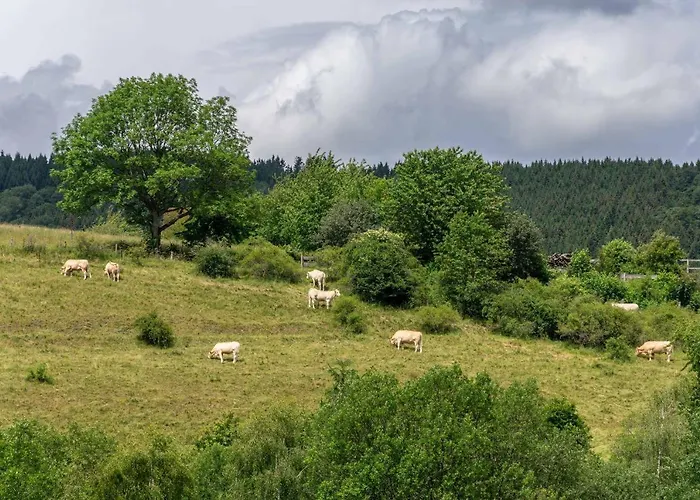 The Conscious Farmer Sauerland 3* Виллинген