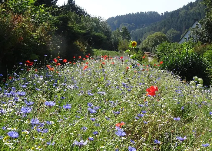 Гостевой дом The Conscious Farmer Sauerland Виллинген