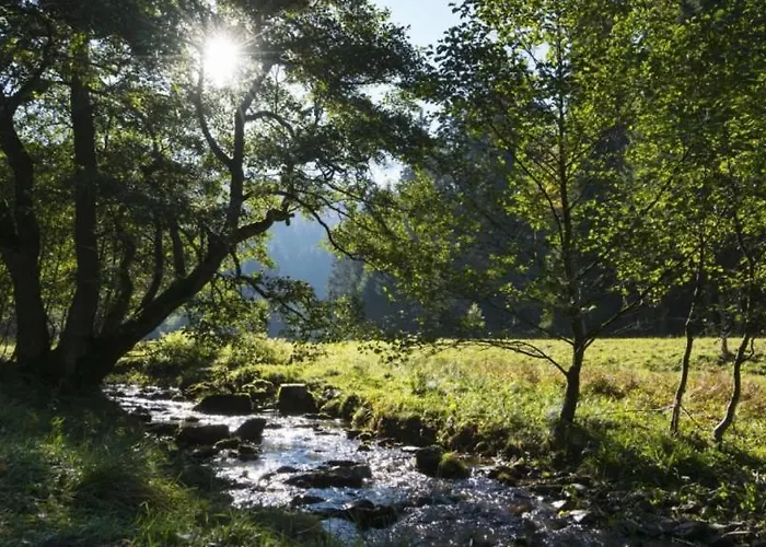 The Conscious Farmer Sauerland