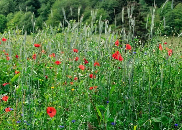 The Conscious Farmer Sauerland Виллинген